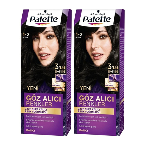 Palette Göz Alıcı Renkler 1-0 Siyah X 2 Adet