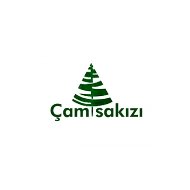 Camsakızı